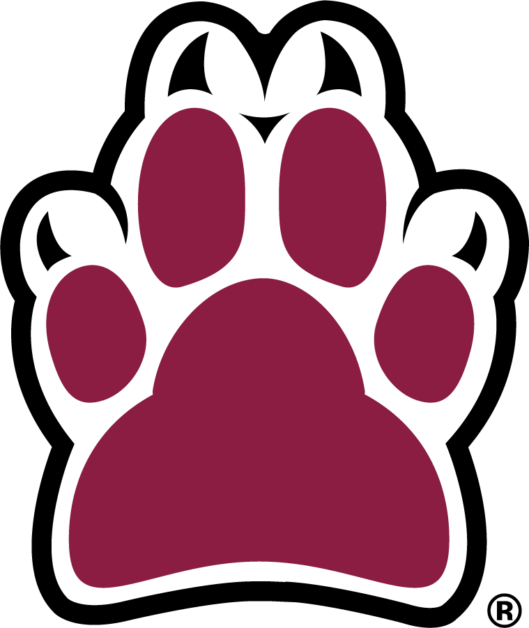 Loyola Ramblers 2003-2012 Secondary Logo iron on transfers for T-shirts
